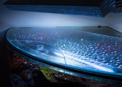 AquariumAbdeckung_1547458636