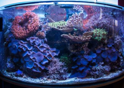 PanoramaAquarium_1547458637
