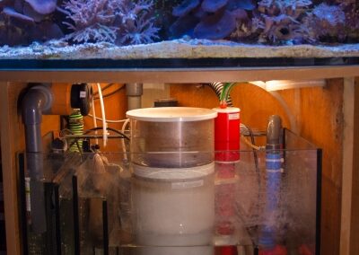 Technikbecken-und-Aquarium_1547458637